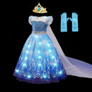 Fantasia Elsa Frozen